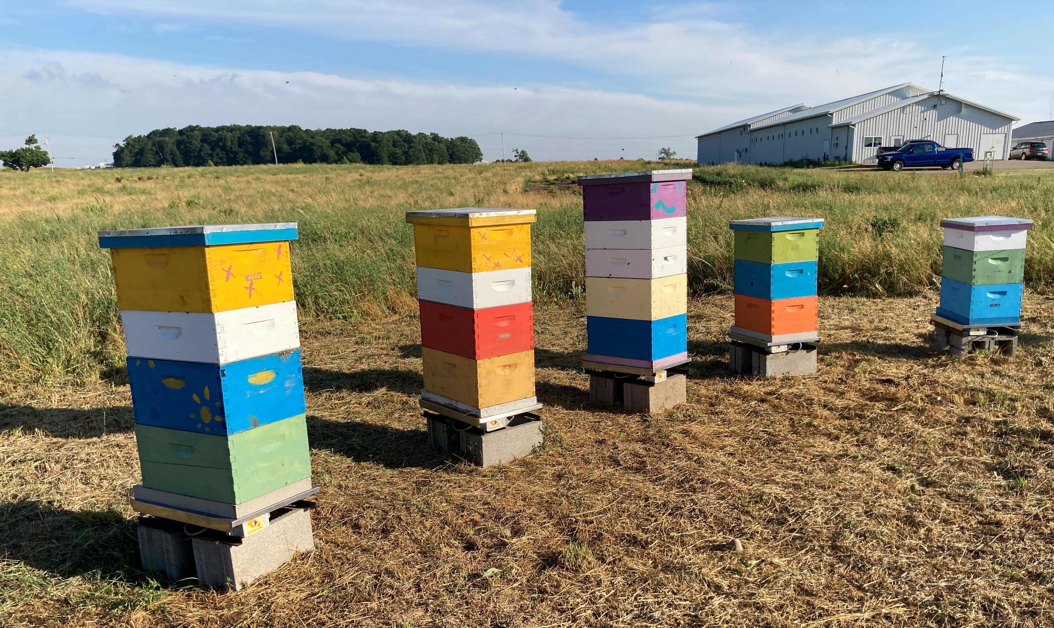 bee hives with the MSU Pollinator Performance Center in the background